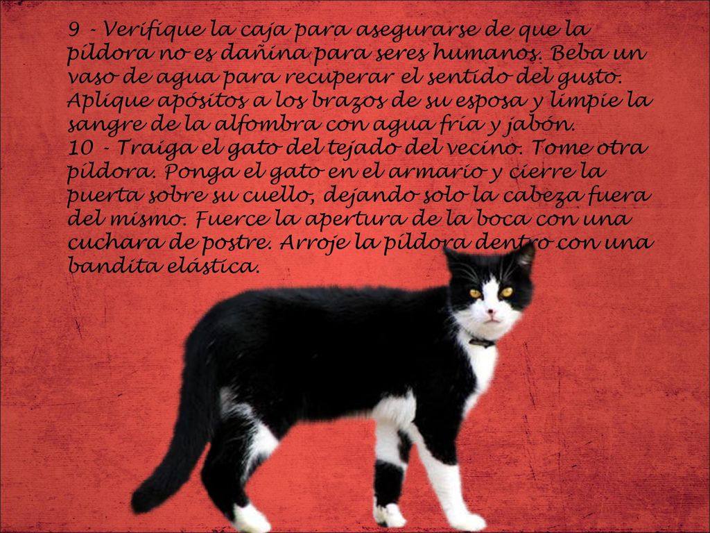 9 - Verifique la caja para asegurarse de que la píldora no es dañina para seres humanos.