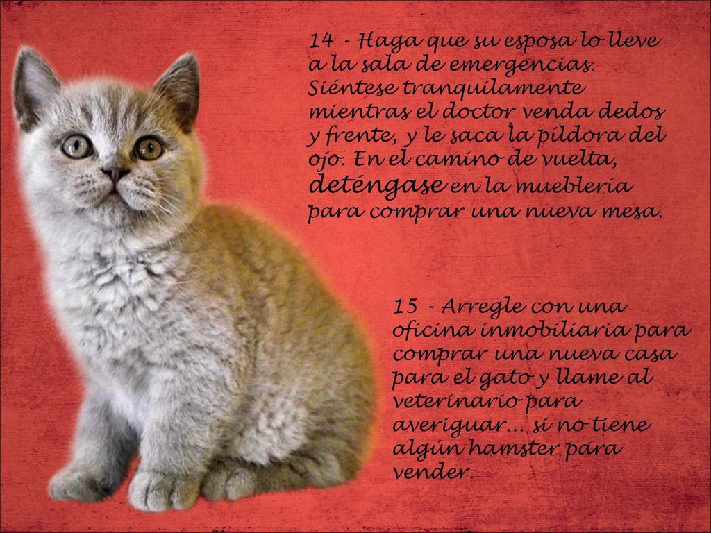 14 - Haga que su esposa lo lleve a la sala de emergencias