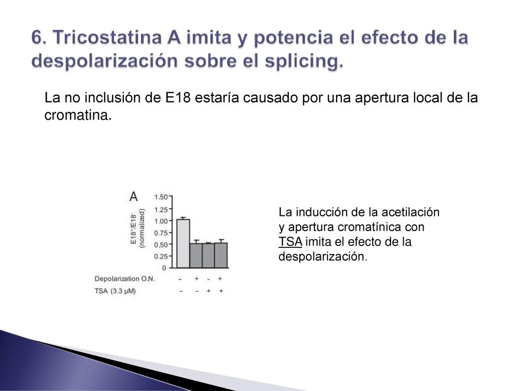 La no inclusión de E18 estaría causado por una apertura local de la cromatina.