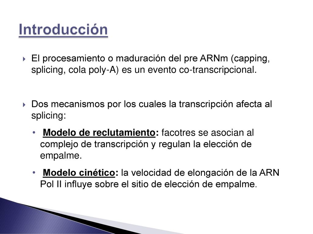 El procesamiento o maduración del pre ARNm (capping, splicing, cola poly-A) es un evento co-transcripcional.