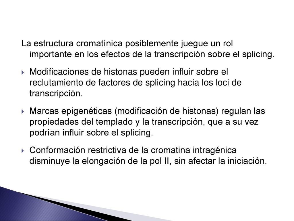 La estructura cromatínica posiblemente juegue un rol importante en los efectos de la transcripción sobre el splicing.