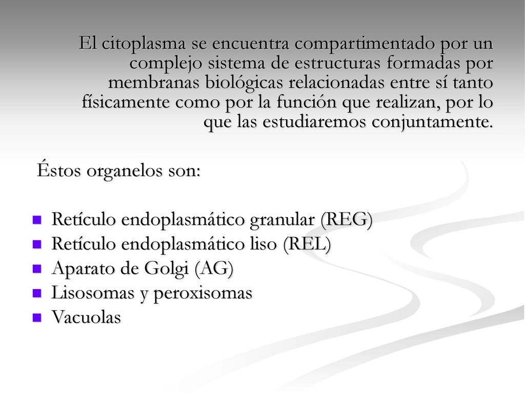 El citoplasma se encuentra compartimentado por un complejo sistema de estructuras formadas por membranas biológicas relacionadas entre sí tanto físicamente como por la función que realizan, por lo que las estudiaremos conjuntamente.