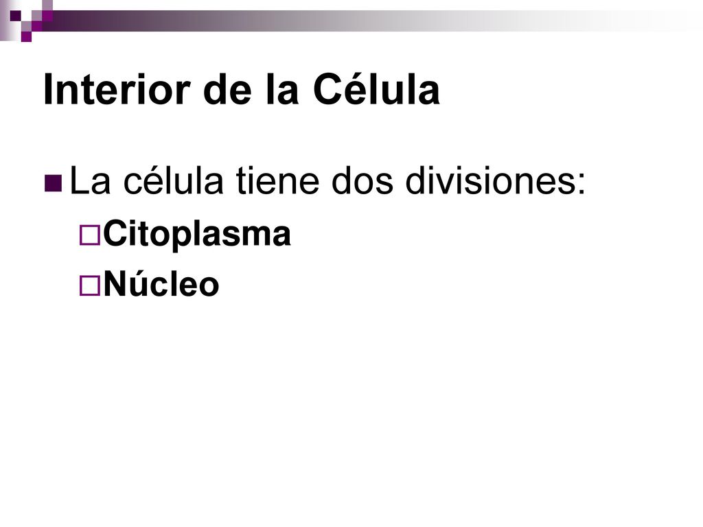 Interior de la Célula La célula tiene dos divisiones: Citoplasma