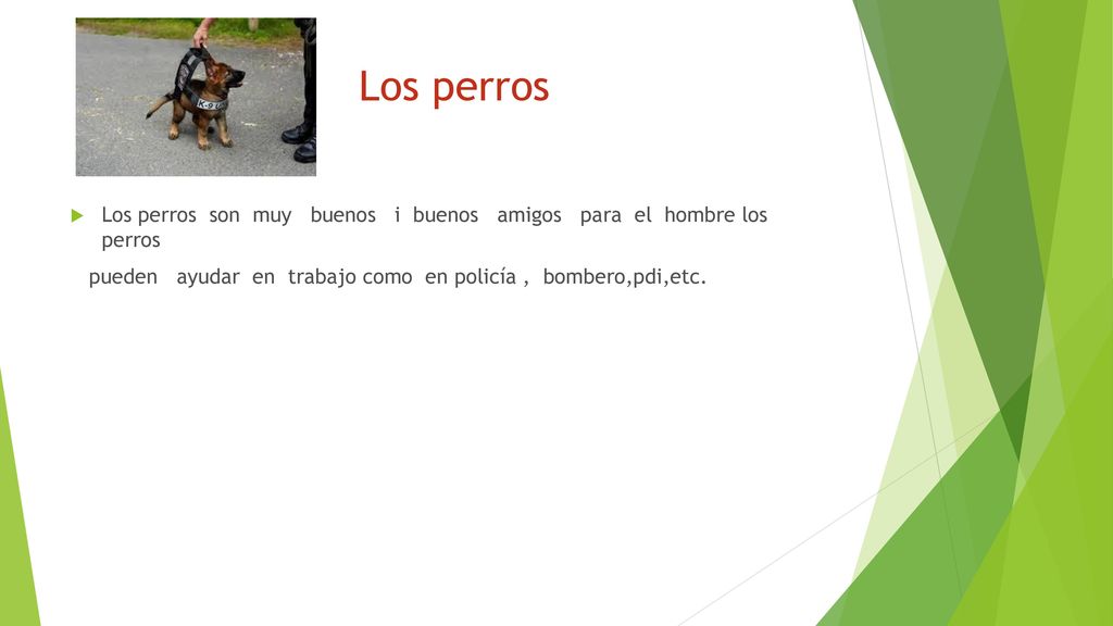 Los perros Los perros son muy buenos i buenos amigos para el hombre los perros.