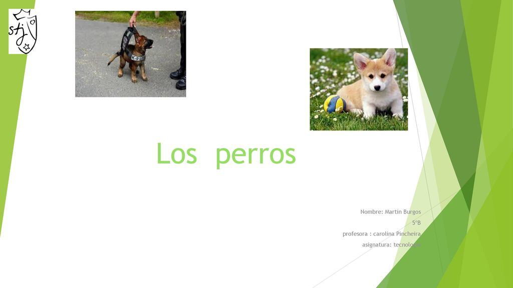Los perros Nombre: Martin Burgos 5ºB profesora : carolina Pincheira