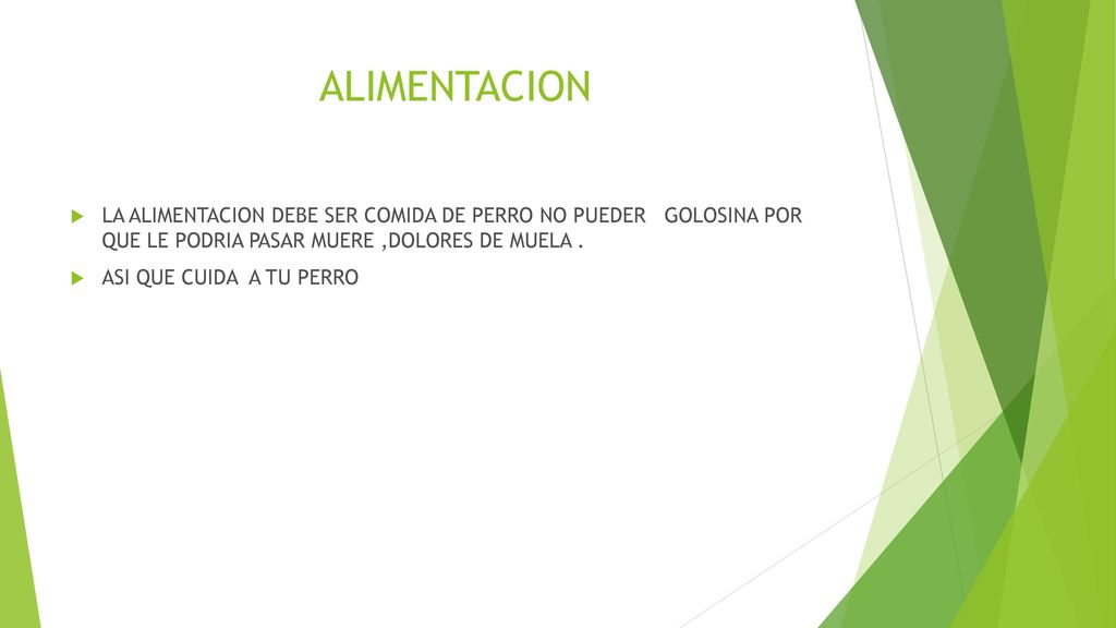 ALIMENTACION LA ALIMENTACION DEBE SER COMIDA DE PERRO NO PUEDER GOLOSINA POR QUE LE PODRIA PASAR MUERE ,DOLORES DE MUELA .