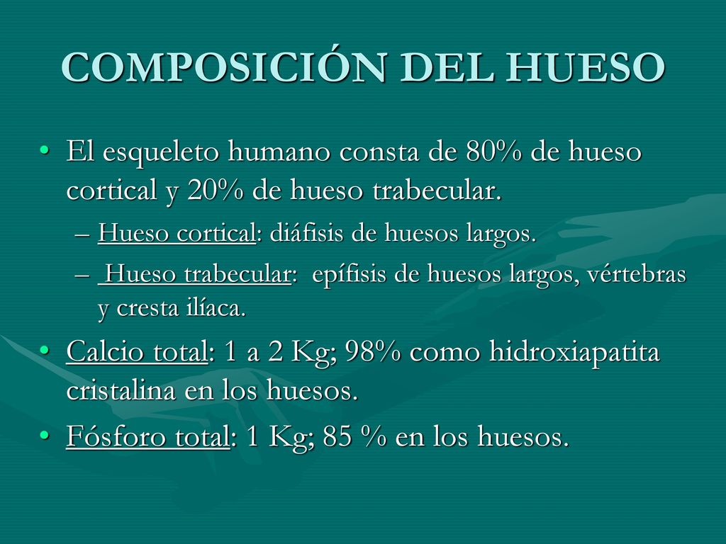 COMPOSICIÓN DEL HUESO El esqueleto humano consta de 80% de hueso cortical y 20% de hueso trabecular.