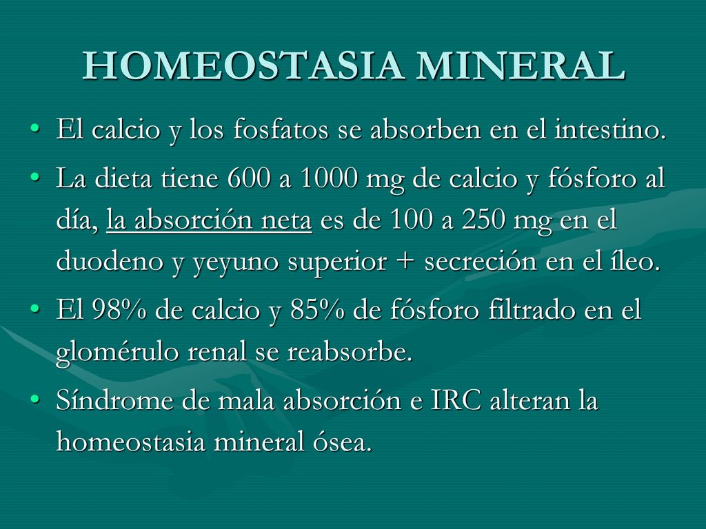 HOMEOSTASIA MINERAL El calcio y los fosfatos se absorben en el intestino.