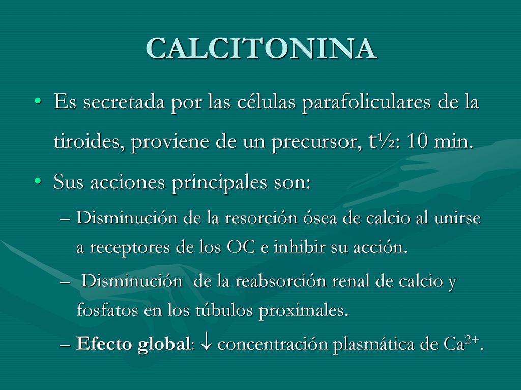 CALCITONINA Es secretada por las células parafoliculares de la tiroides, proviene de un precursor, t½: 10 min.