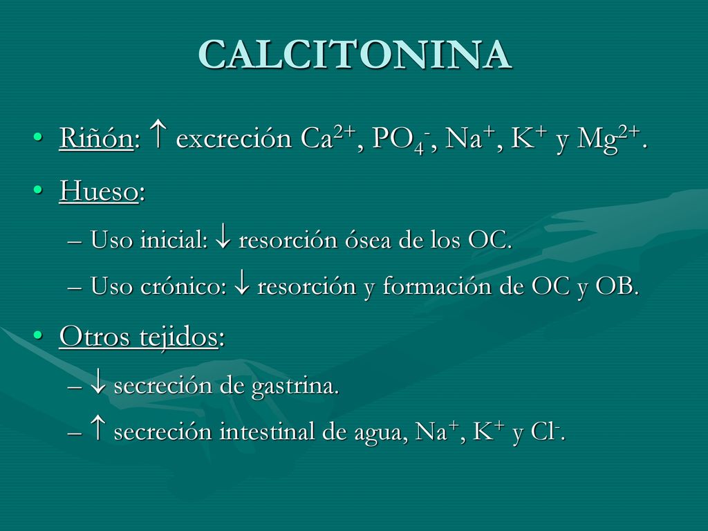 CALCITONINA Riñón:  excreción Ca2+, PO4-, Na+, K+ y Mg2+. Hueso: