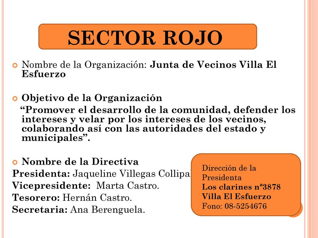 SECTOR ROJO Nombre de la Organización: Junta de Vecinos Villa El Esfuerzo. Objetivo de la Organización.