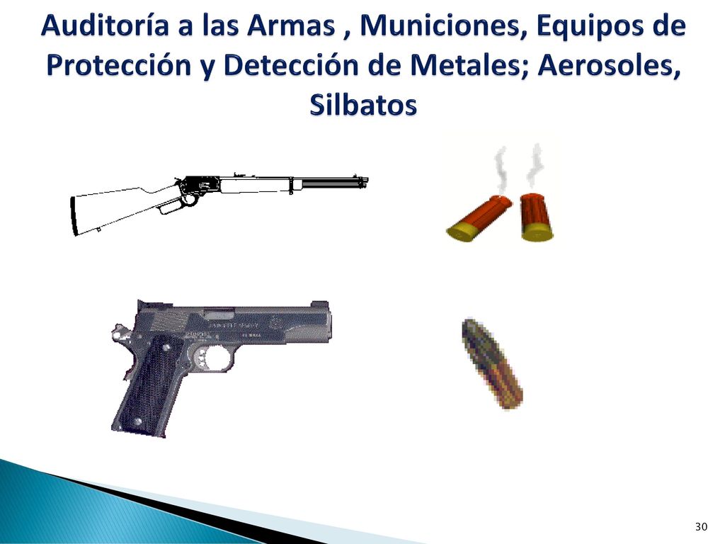 Auditoría a las Armas , Municiones, Equipos de Protección y Detección de Metales; Aerosoles, Silbatos