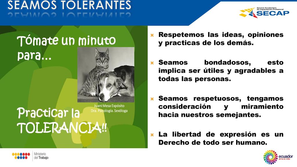 SEAMOS TOLERANTES Respetemos las ideas, opiniones y practicas de los demás.