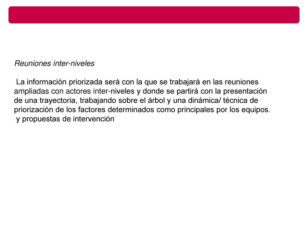 Reuniones inter-niveles. La información priorizada será con la que se trabajará en las reuniones.
