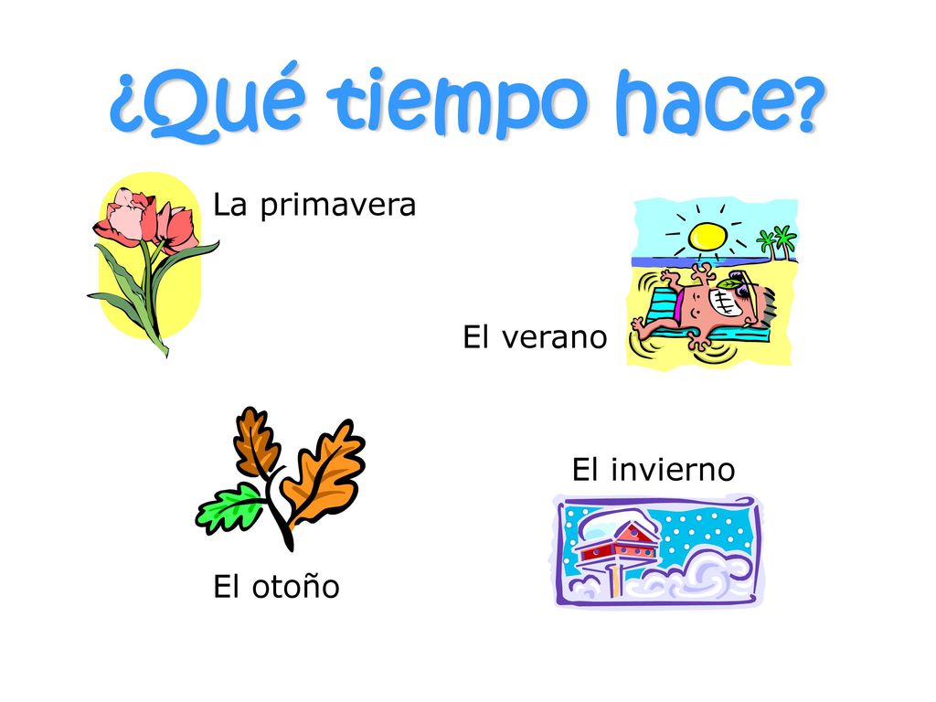 ¿Qué tiempo hace La primavera El verano El otoño El invierno