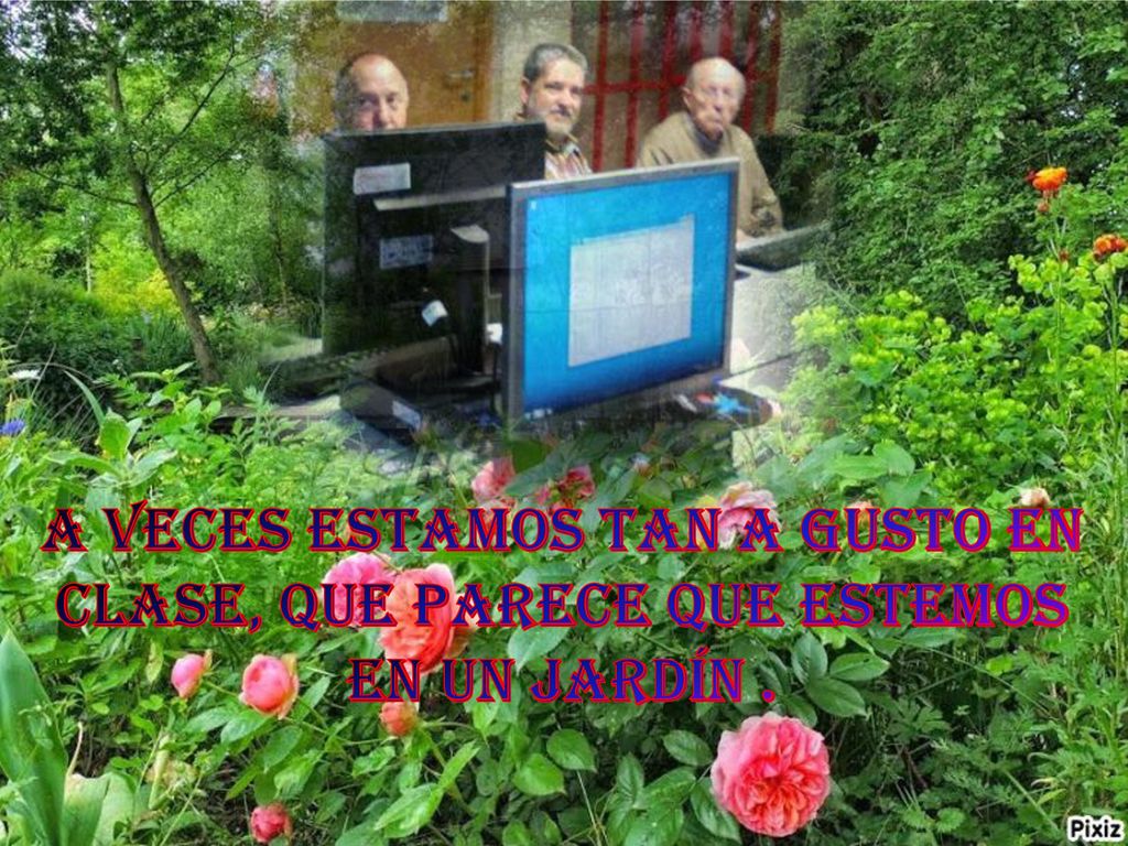 A veces estamos tan a gusto en clase, que parece que estemos en un jardín .