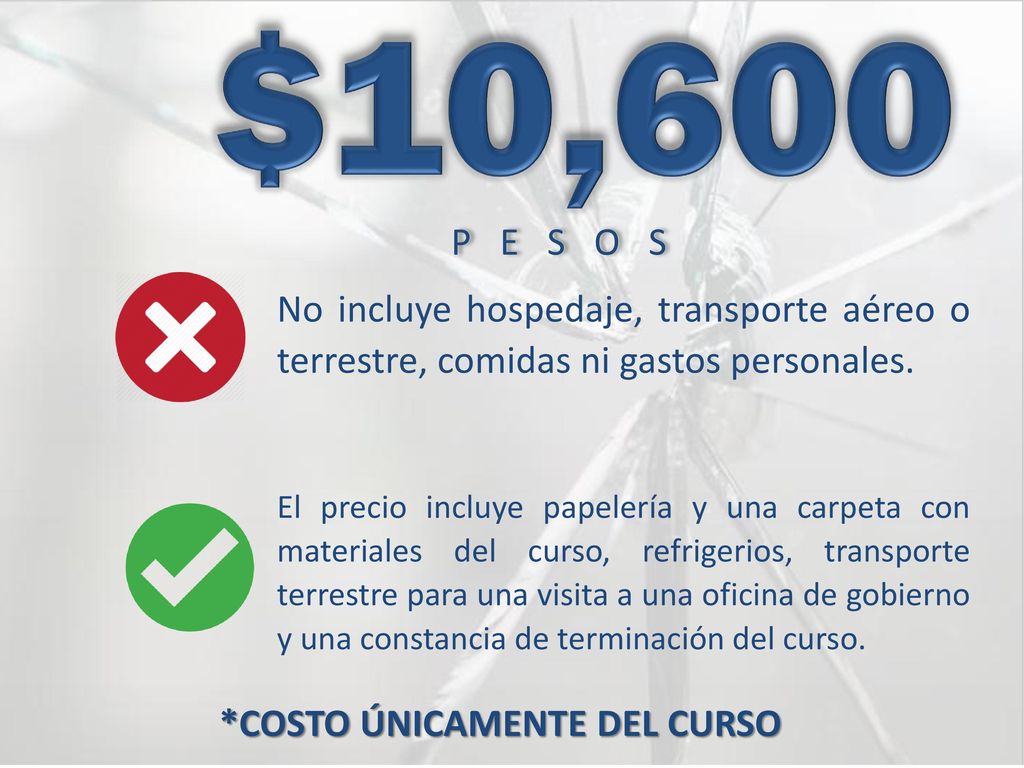 $10,600 PESOS. No incluye hospedaje, transporte aéreo o terrestre, comidas ni gastos personales.