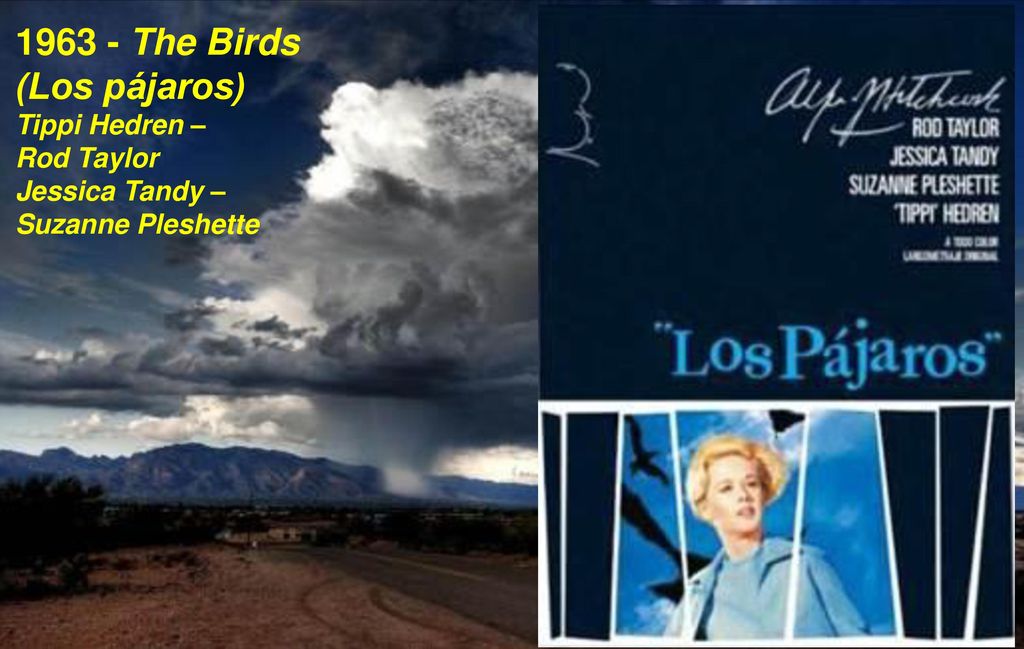 The Birds (Los pájaros) Tippi Hedren – Rod Taylor