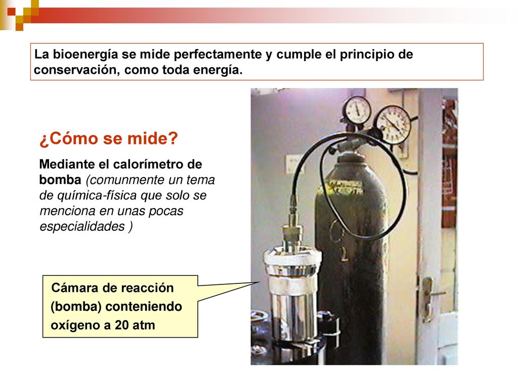 La bioenergía se mide perfectamente y cumple el principio de conservación, como toda energía.