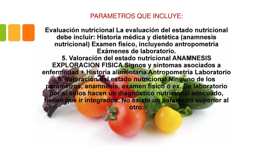 PARAMETROS QUE INCLUYE: Evaluación nutricional La evaluación del estado nutricional debe incluir: Historia médica y dietética (anamnesis nutricional) Examen físico, incluyendo antropometría Exámenes de laboratorio.
