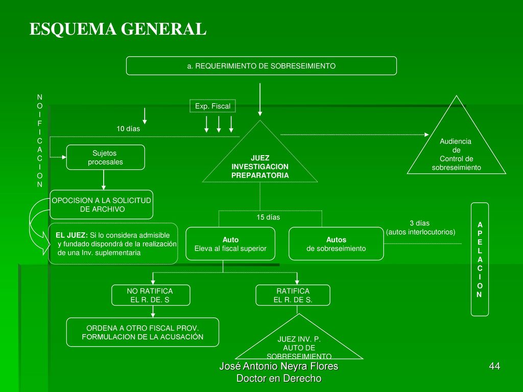ESQUEMA GENERAL José Antonio Neyra Flores Doctor en Derecho
