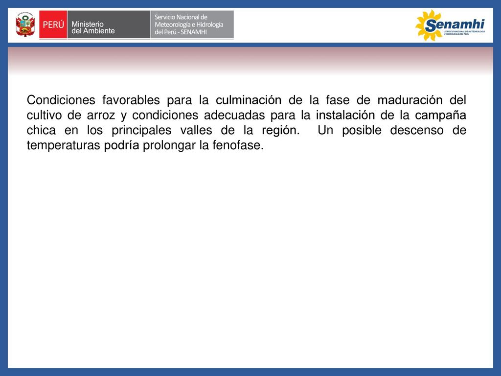 Condiciones favorables para la culminación de la fase de maduración del cultivo de arroz y condiciones adecuadas para la instalación de la campaña chica en los principales valles de la región.