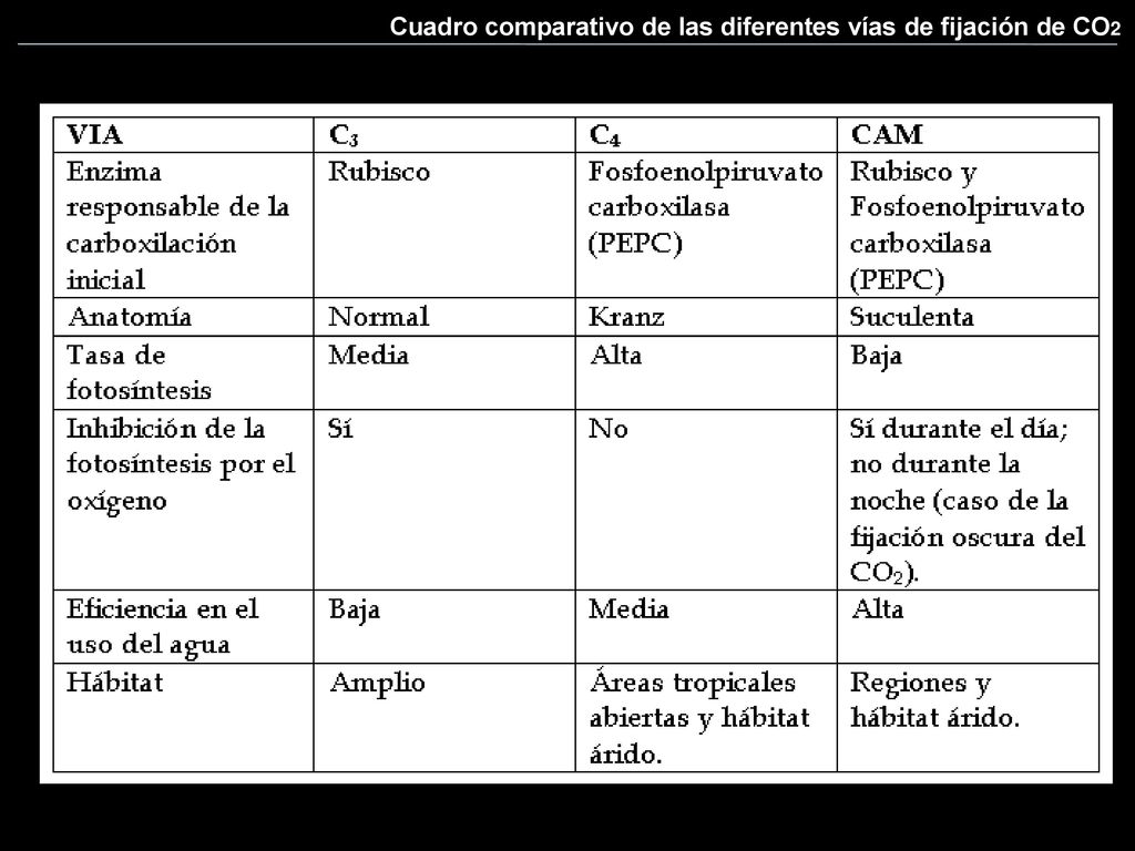 Cuadro comparativo de las diferentes vías de fijación de CO2