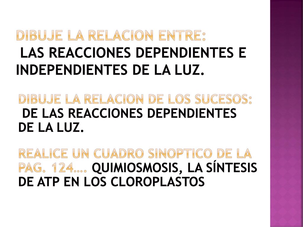 DIBUJE LA RELACION ENTRE: LAS REACCIONES DEPENDIENTES E INDEPENDIENTES DE LA LUZ.
