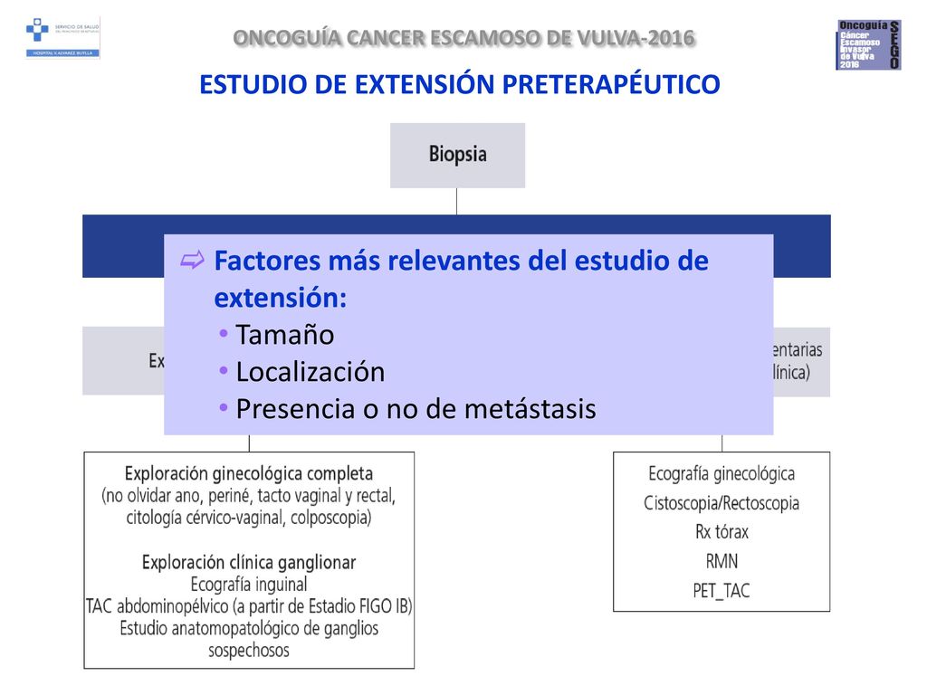 Factores más relevantes del estudio de extensión: Tamaño Localización