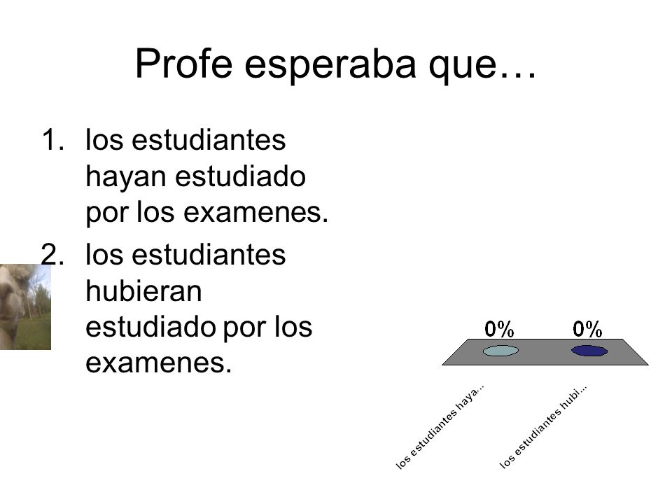 Profe esperaba que… los estudiantes hayan estudiado por los examenes.
