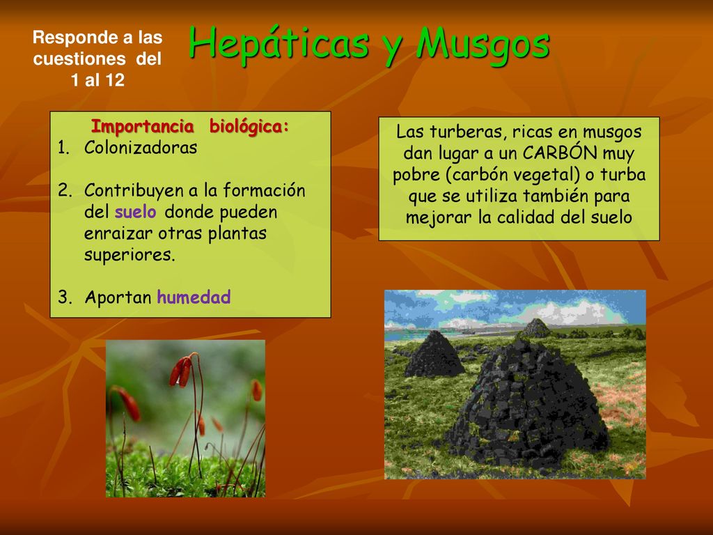 Responde a las cuestiones del 1 al 12 Importancia biológica: