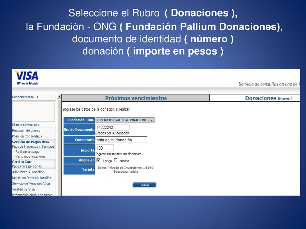 Seleccione el Rubro ( Donaciones ), la Fundación - ONG ( Fundación Pallium Donaciones), documento de identidad ( número ) donación ( importe en pesos )
