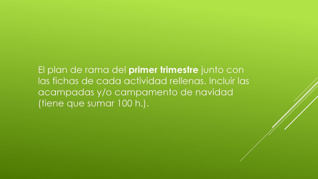 El plan de rama del primer trimestre junto con las fichas de cada actividad rellenas.