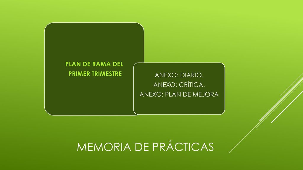 MEMORIA DE PRÁCTICAS PLAN DE RAMA DEL PRIMER TRIMESTRE ANEXO: DIARIO.