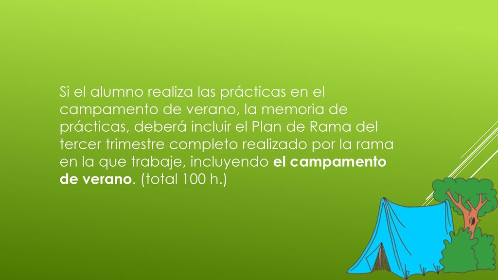 Si el alumno realiza las prácticas en el campamento de verano, la memoria de prácticas, deberá incluir el Plan de Rama del tercer trimestre completo realizado por la rama en la que trabaje, incluyendo el campamento de verano.