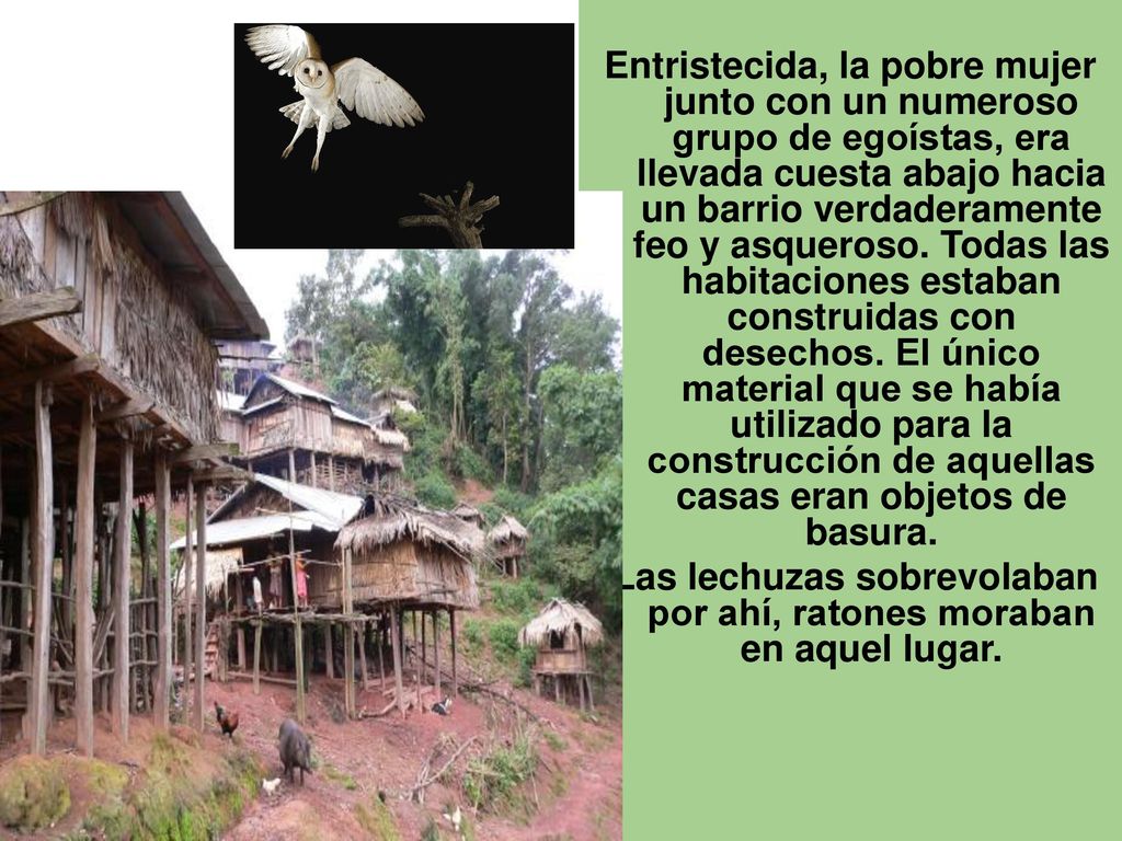 Las lechuzas sobrevolaban por ahí, ratones moraban en aquel lugar.