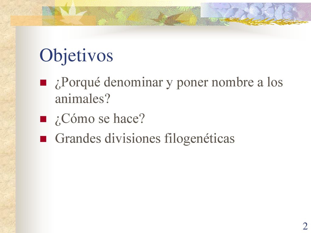 Objetivos ¿Porqué denominar y poner nombre a los animales