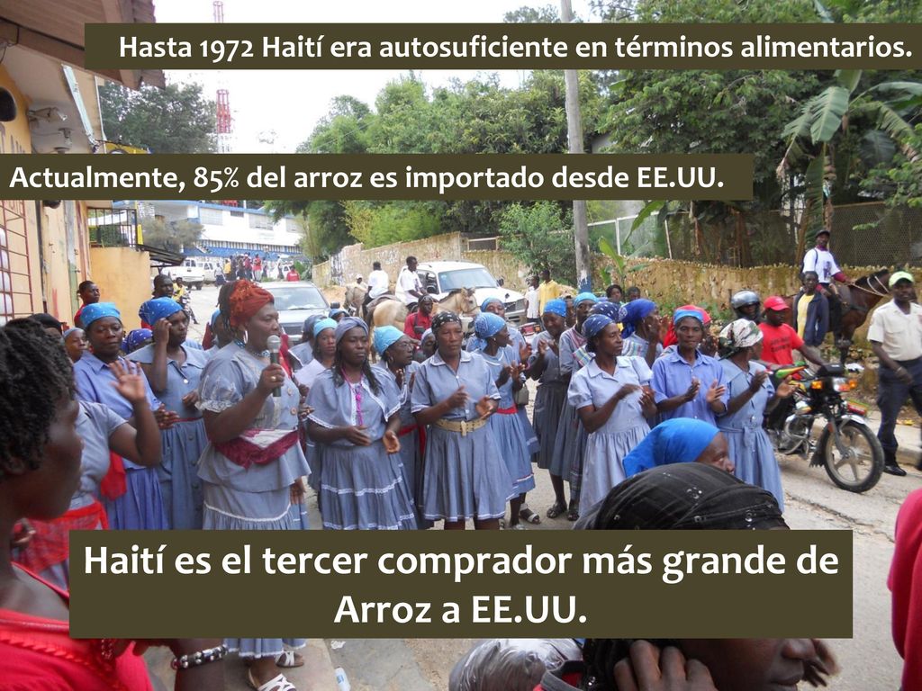 Haití es el tercer comprador más grande de Arroz a EE.UU.