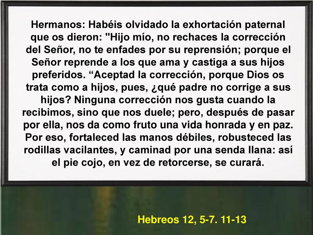 Hermanos: Habéis olvidado la exhortación paternal que os dieron: Hijo mío, no rechaces la corrección del Señor, no te enfades por su reprensión; porque el Señor reprende a los que ama y castiga a sus hijos preferidos. Aceptad la corrección, porque Dios os trata como a hijos, pues, ¿qué padre no corrige a sus hijos Ninguna corrección nos gusta cuando la recibimos, sino que nos duele; pero, después de pasar por ella, nos da como fruto una vida honrada y en paz.