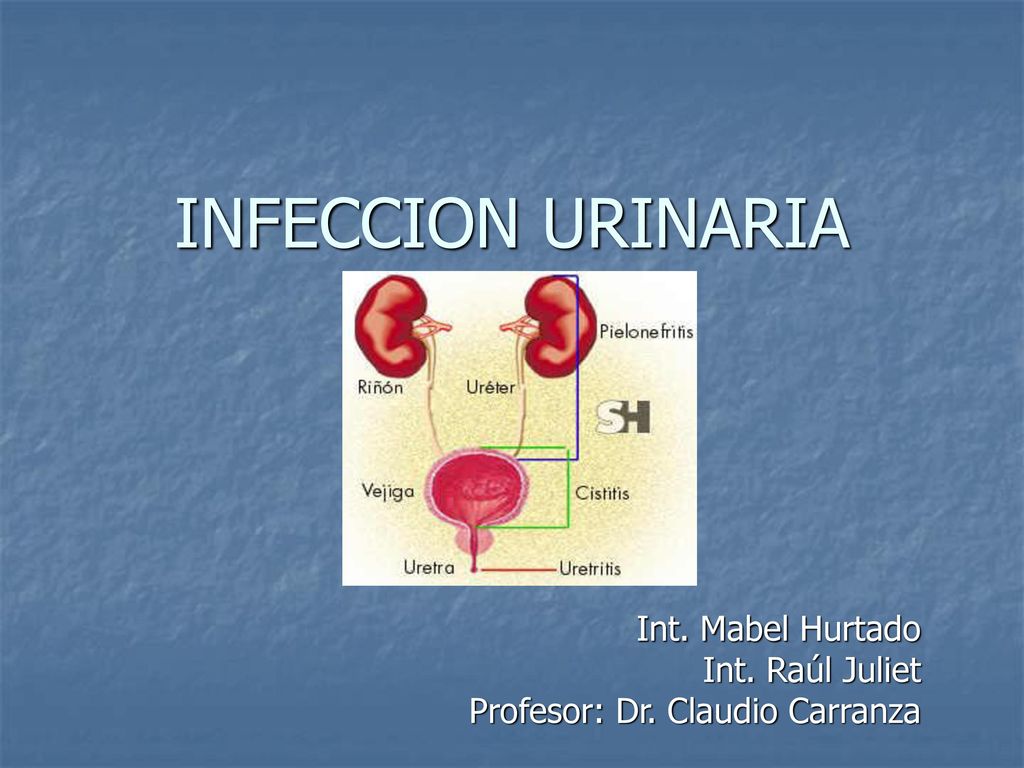 Int. Mabel Hurtado Int. Raúl Juliet Profesor: Dr. Claudio Carranza