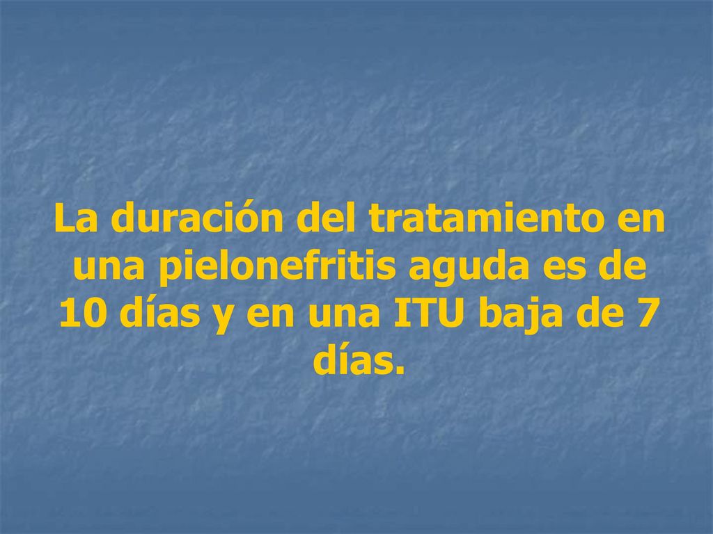 La duración del tratamiento en una pielonefritis aguda es de 10 días y en una ITU baja de 7 días.