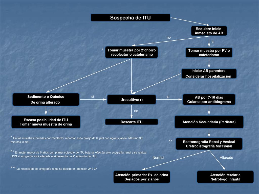 Sospecha de ITU Requiere inicio. inmediato de AB. no. si. * Tomar muestra por 2ºchorro. recolector o cateterismo.