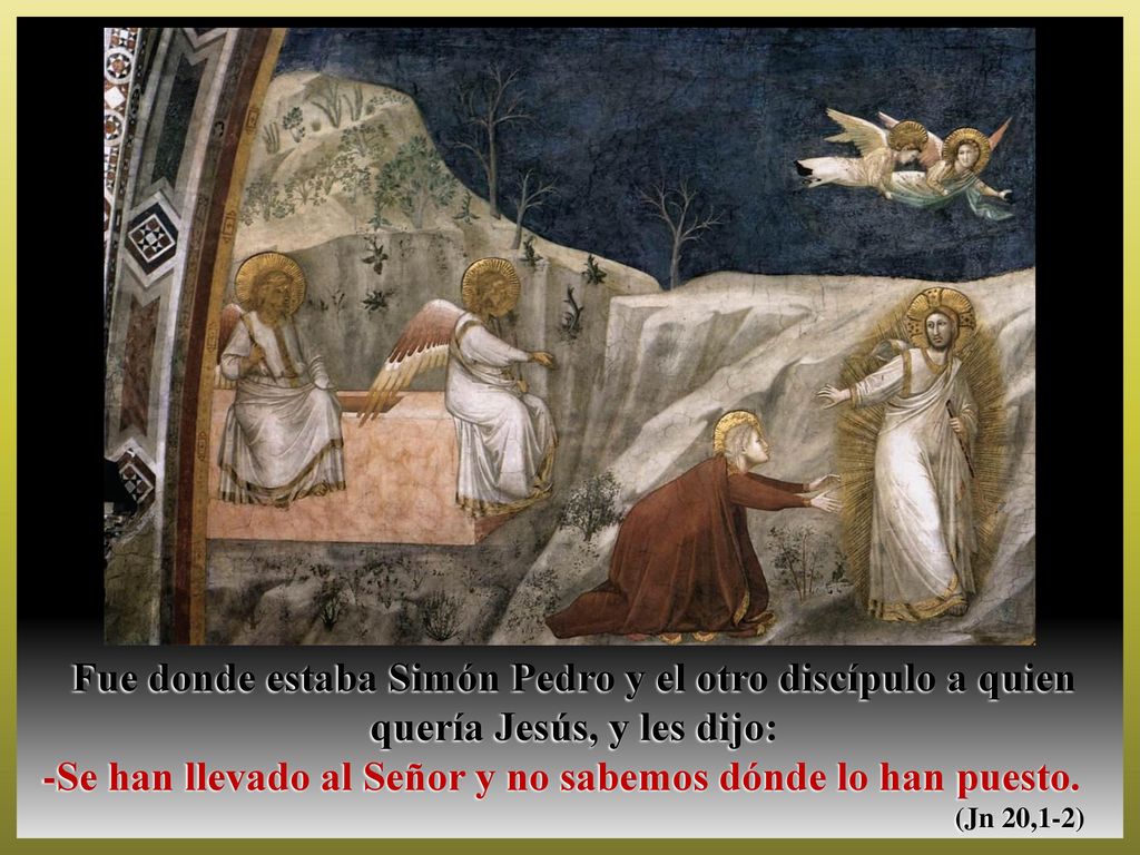 -Se han llevado al Señor y no sabemos dónde lo han puesto.