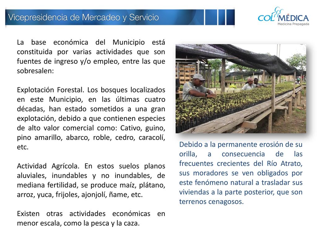 La base económica del Municipio está constituida por varias actividades que son fuentes de ingreso y/o empleo, entre las que sobresalen: