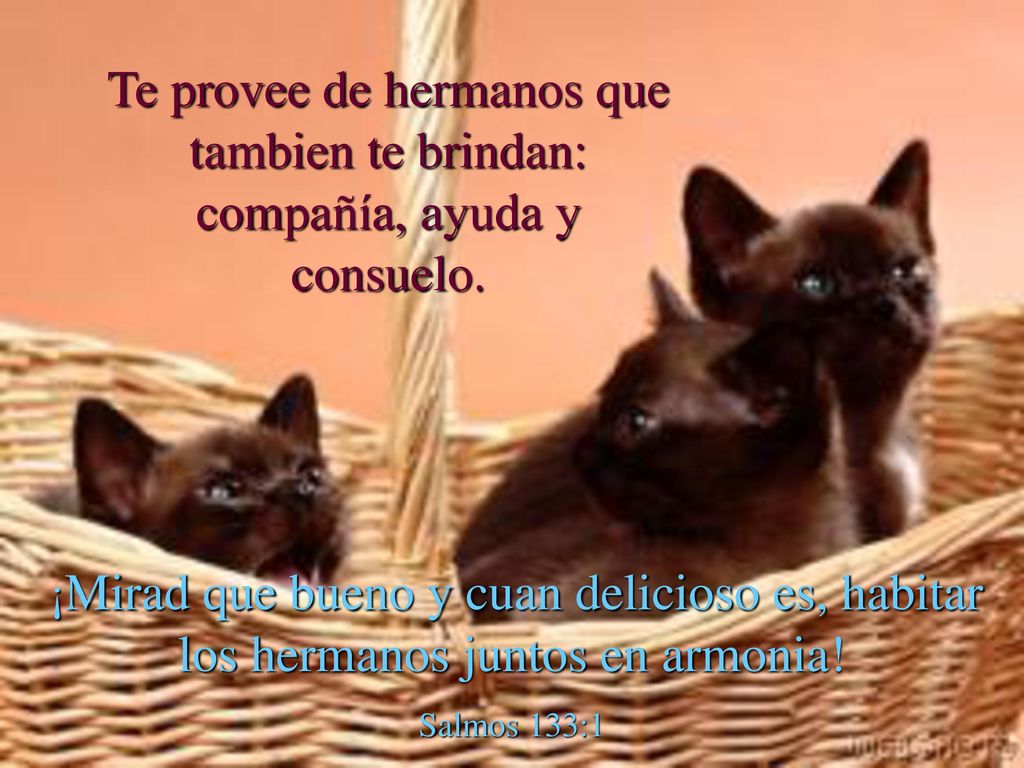 Te provee de hermanos que tambien te brindan: compañía, ayuda y consuelo.