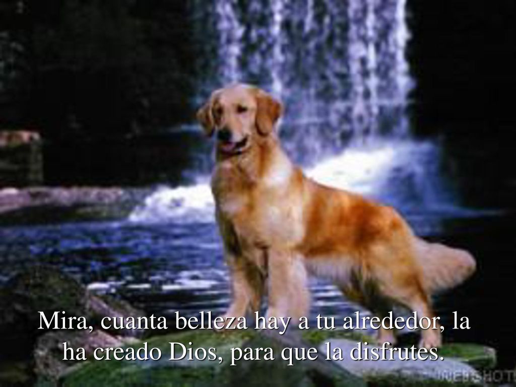Mira, cuanta belleza hay a tu alrededor, la ha creado Dios, para que la disfrutes.