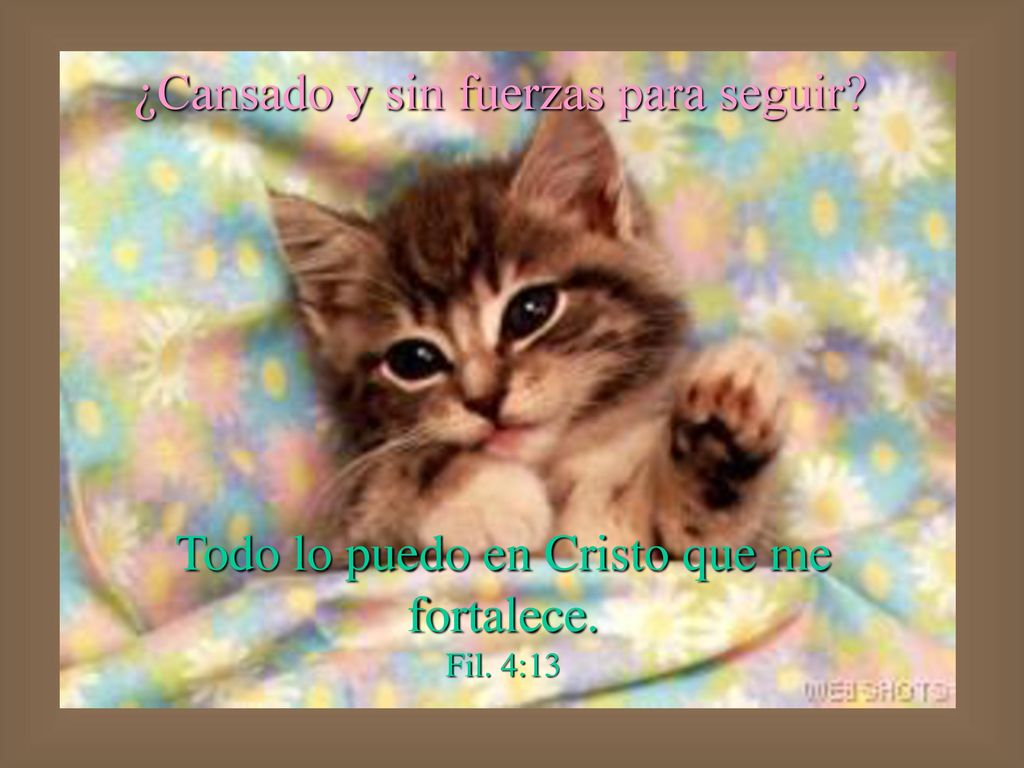 Todo lo puedo en Cristo que me fortalece. Fil. 4:13