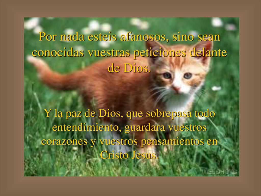 Por nada esteis afanosos, sino sean conocidas vuestras peticiones delante de Dios.
