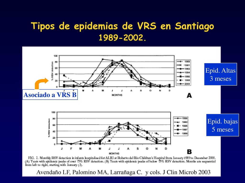 Tipos de epidemias de VRS en Santiago