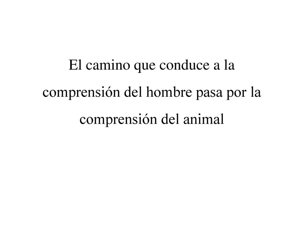 El camino que conduce a la comprensión del hombre pasa por la comprensión del animal